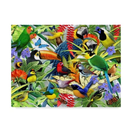 Howard Robinson 'Tropical Birds' Canvas Art,35x47